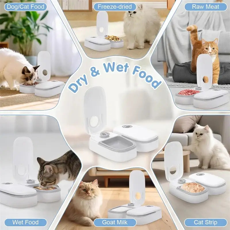 Automatic Cat Feeder 48-Hour Timed Cat Food Dispenser Pet Feeder Automatic Feeder Suitable for All Household Pets
