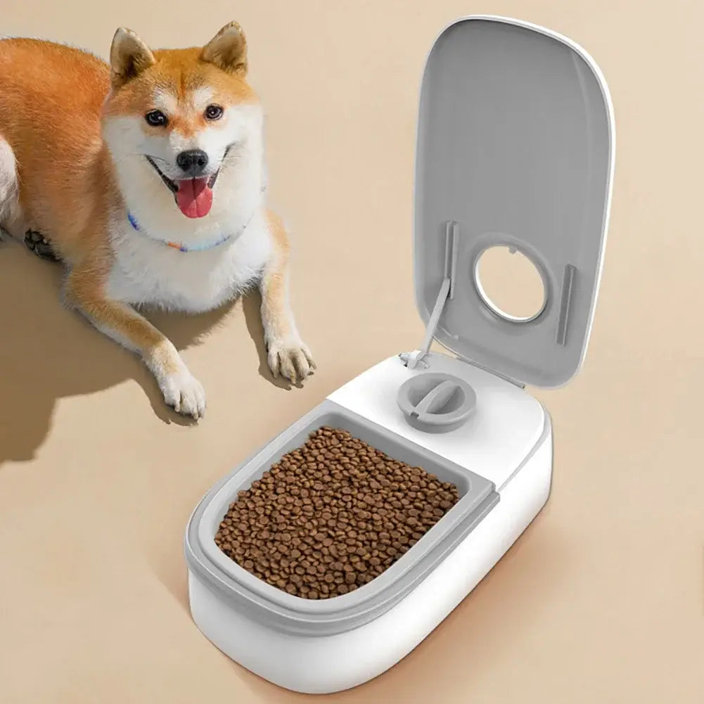 Automatic Cat Feeder Timed Pet Food Dispenser For Wet Dry Food 48 Hour Timed Smart Pet Feeder For Cats Dogs Pet Products