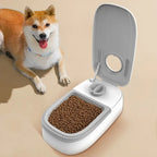 Automatic Cat Feeder Timed Pet Food Dispenser For Wet Dry Food 48 Hour Timed Smart Pet Feeder For Cats Dogs Pet Products