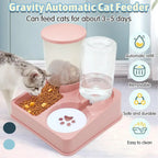 Automatic Cat Feeder Water Dispenser Set 2 In 1 Tilted Automatic Pet Food And Water Feeder Gravity Food Feeder And