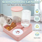 Automatic Cat Feeder Water Dispenser Set 2 In 1 Tilted Automatic Pet Food And Water Feeder Gravity Food Feeder And
