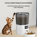 Automatic Cat Feeders 4L Timed Cat Dry Food Dispenser Dual Power Supply Programmable Portion Control Auto Pet Feeder