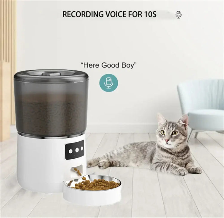 Automatic Cat Feeders 4L Timed Cat Dry Food Dispenser Dual Power Supply Programmable Portion Control Auto Pet Feeder