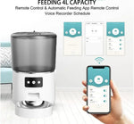 Automatic Cat Feeders 4L Timed Cat Dry Food Dispenser Dual Power Supply Programmable Portion Control Auto Pet Feeder