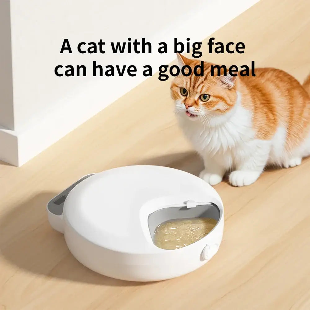 Automatic feeder for wet food four pet feeders for different foods dry and wet food cat feeding bowl with ice packs