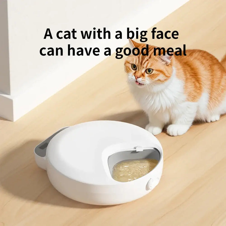 Automatic feeder for wet food four pet feeders for different foods dry and wet food cat feeding bowl with ice packs