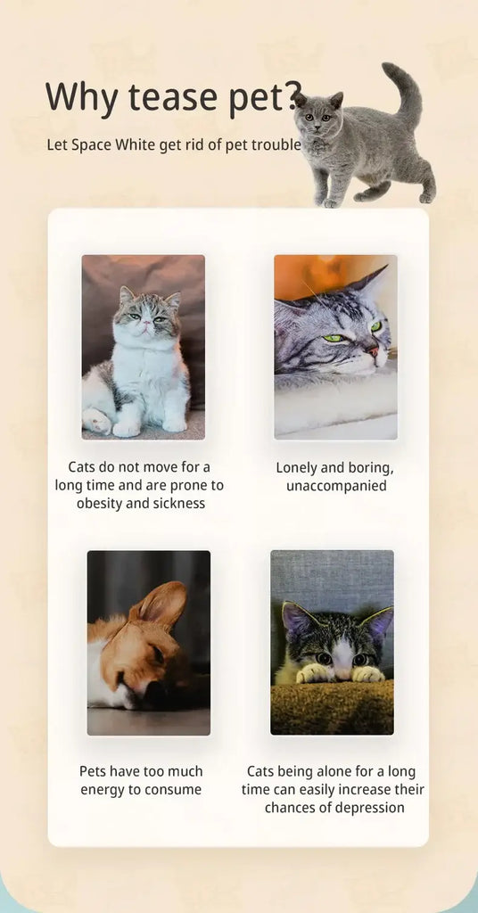 Automatic Laser Cat Toy Rechargeable Auto-rotation Laser Light Interactive Cat Toys Pet Tease Device Dog Toy Fast and