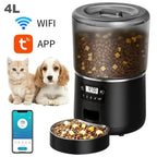 Automatic Pet Feeder 4L Capacity Smart Timer Tuya Control Food Dispenser with Stainless Steel Bowl Dogs Cats Feeding