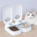 Automatic Pet Feeder For Cats And Small Dogs Dry Or Semi-Moist Pet Food Dispenser With 48-Hour Timer For Puppy Kitten