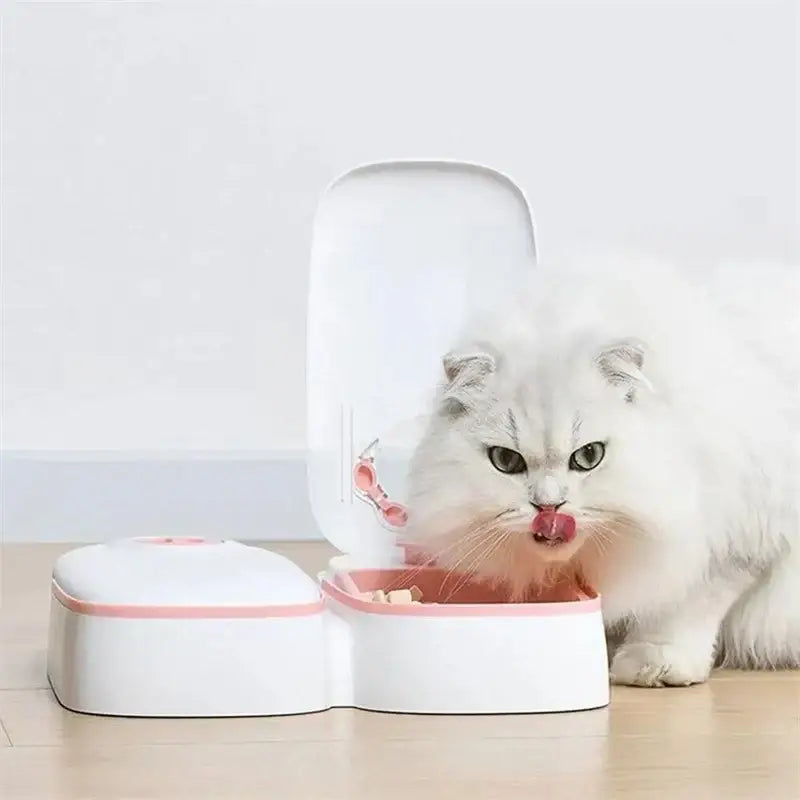 Automatic Pet Feeder For Cats And Small Dogs Dry Or Semi-Moist Pet Food Dispenser With 48-Hour Timer For Puppy Kitten