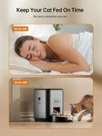 Automatic Pet Feeder Timed Food Dispenser 1-4 Meals Per Day Suitable For Cats & Small 2L Capacity Suitable For Dry Food
