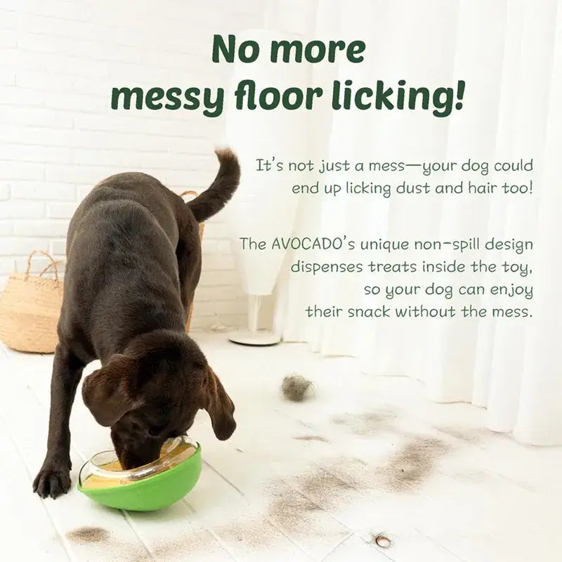 Avocado Training Pet Automatic Feeder Non-Spill Treat Dispensing Wobble Toys for Dogs cats slow feeder bowl - green
