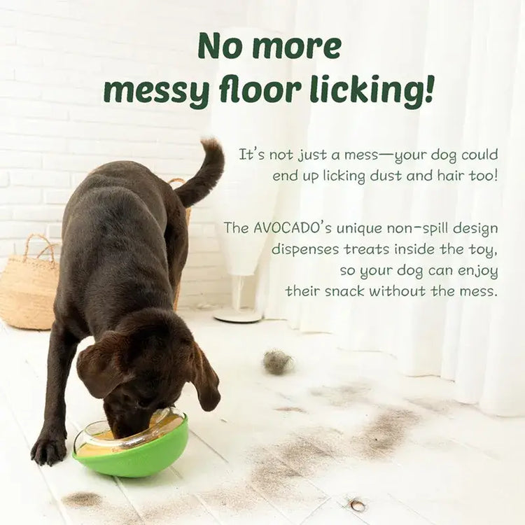 Avocado Training Pet Automatic Feeder Non-Spill Treat Dispensing Wobble Toys for Dogs cats slow feeder bowl - green