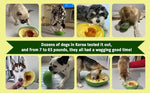 Avocado Training Pet Automatic Feeder Non-Spill Treat Dispensing Wobble Toys for Dogs cats slow feeder bowl - green