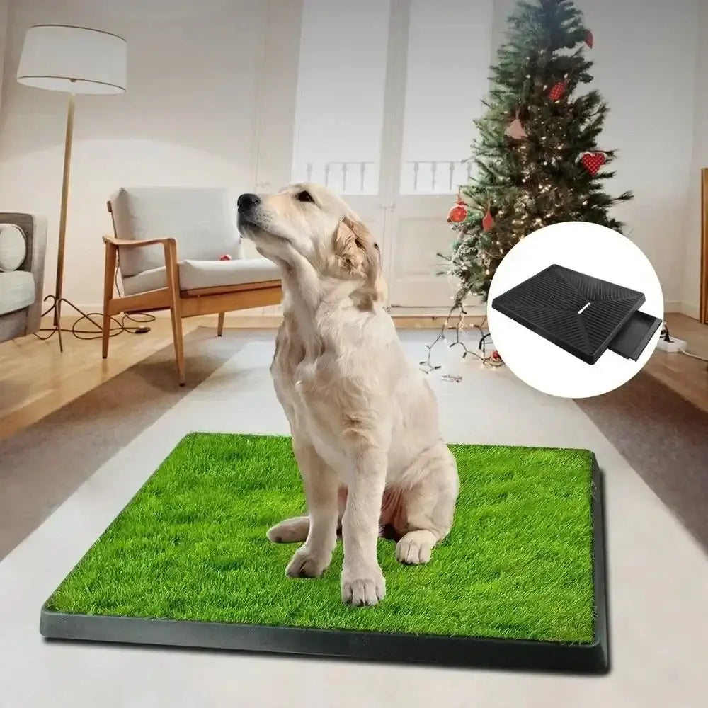 Bac à litière pour chien en filet - A style