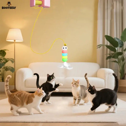 Balançoire suspendue pour chat - Jouet à ressort