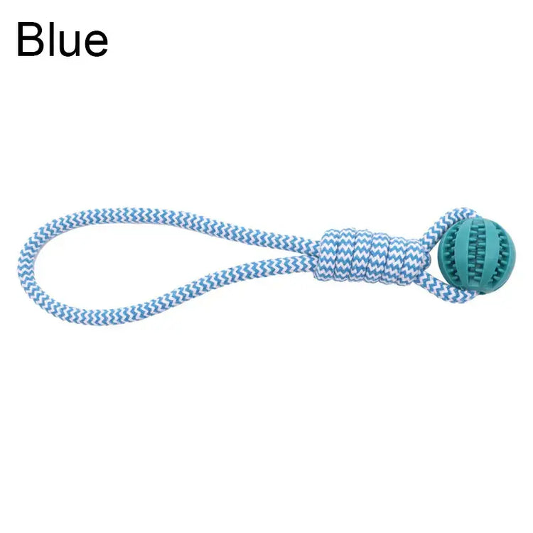 Balle de nettoyage de dents pour animaux - Blue / L