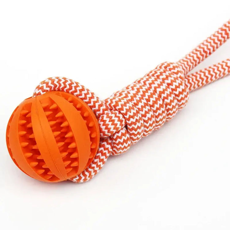 Balle de nettoyage de dents pour animaux
