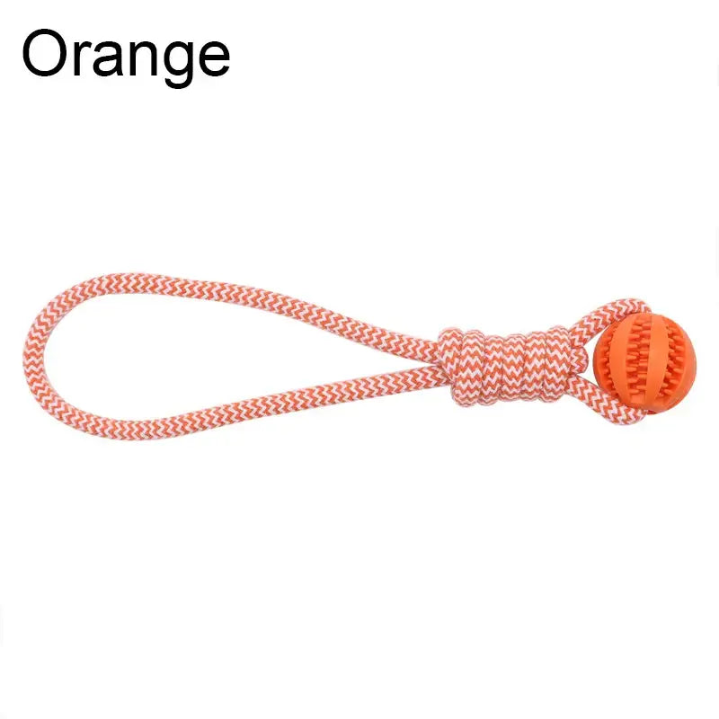 Balle de nettoyage de dents pour animaux - Orange / L