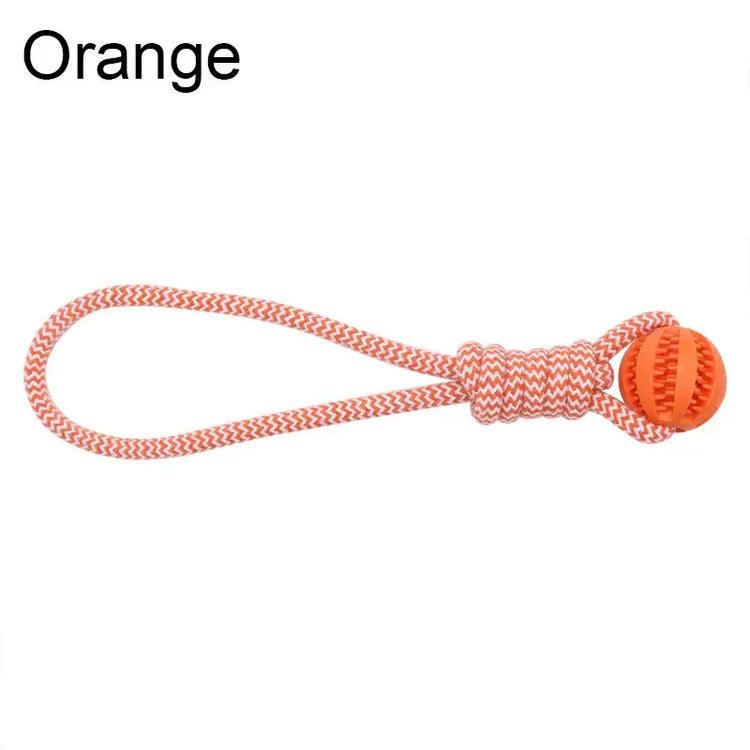 Balle de nettoyage de dents pour animaux - Orange / L