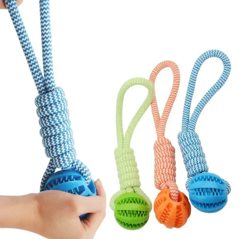 Balle de nettoyage de dents pour animaux