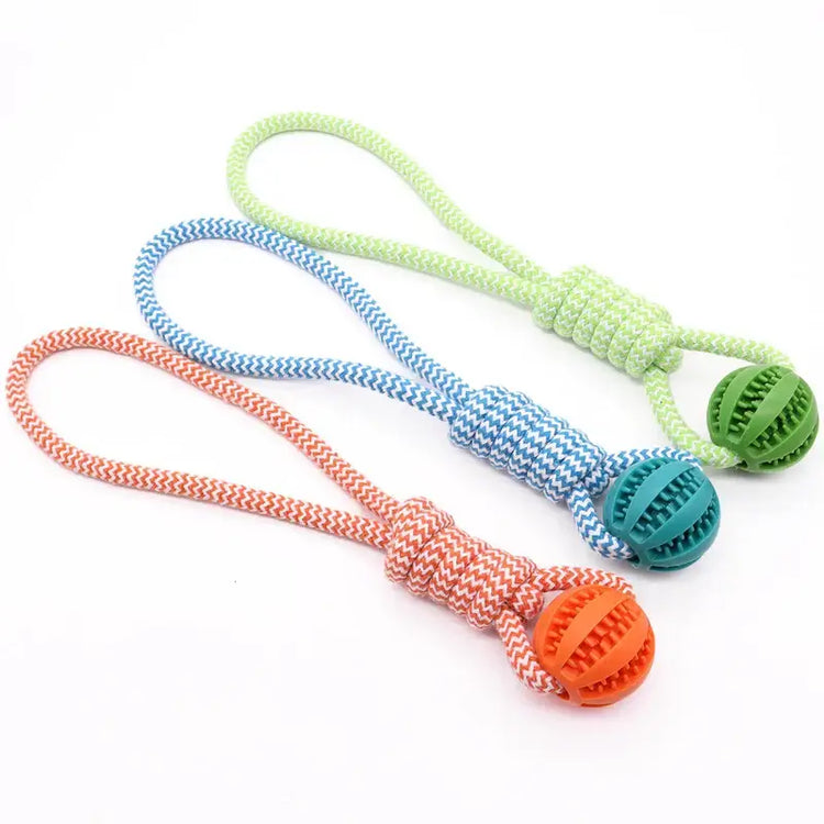 Balle de nettoyage de dents pour animaux