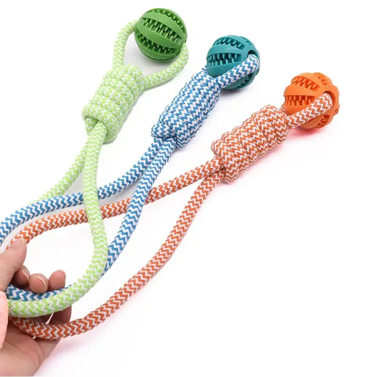 Balle de nettoyage de dents pour animaux