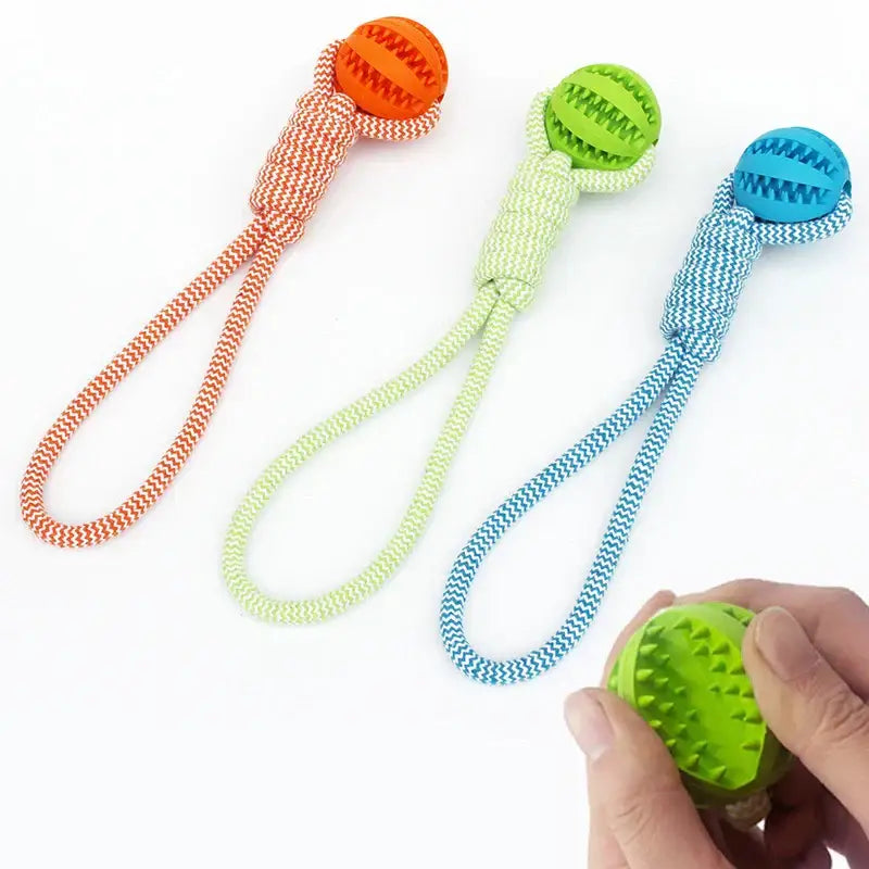 Balle de nettoyage de dents pour animaux