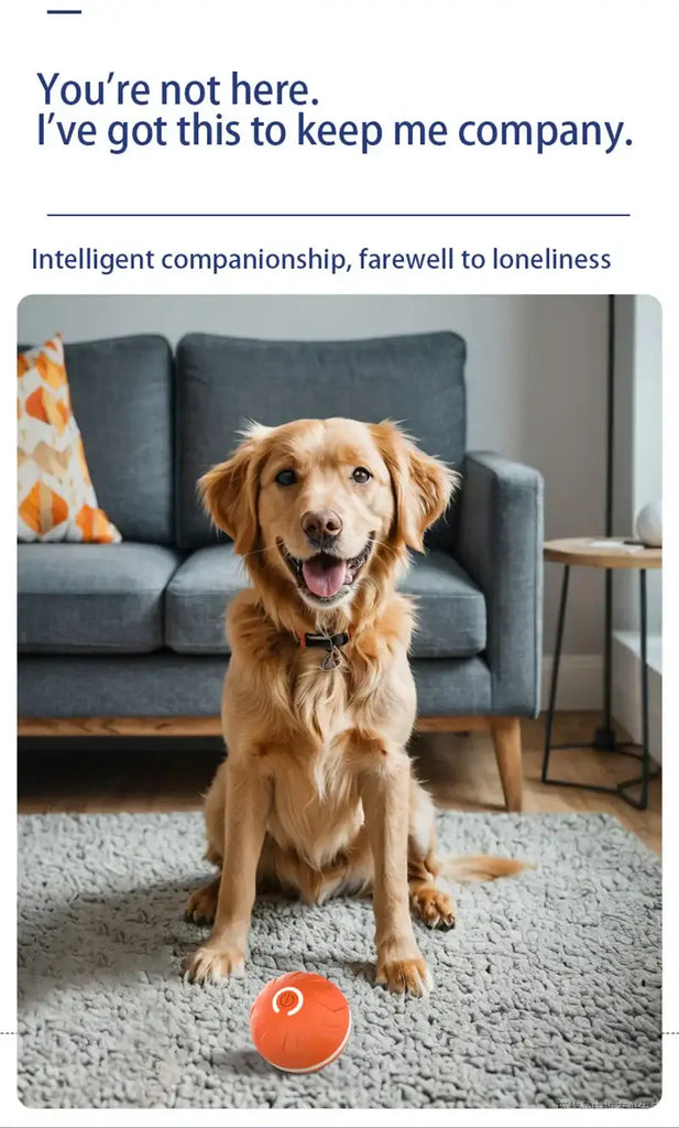 Balle intelligente à rebond automatique pour animaux