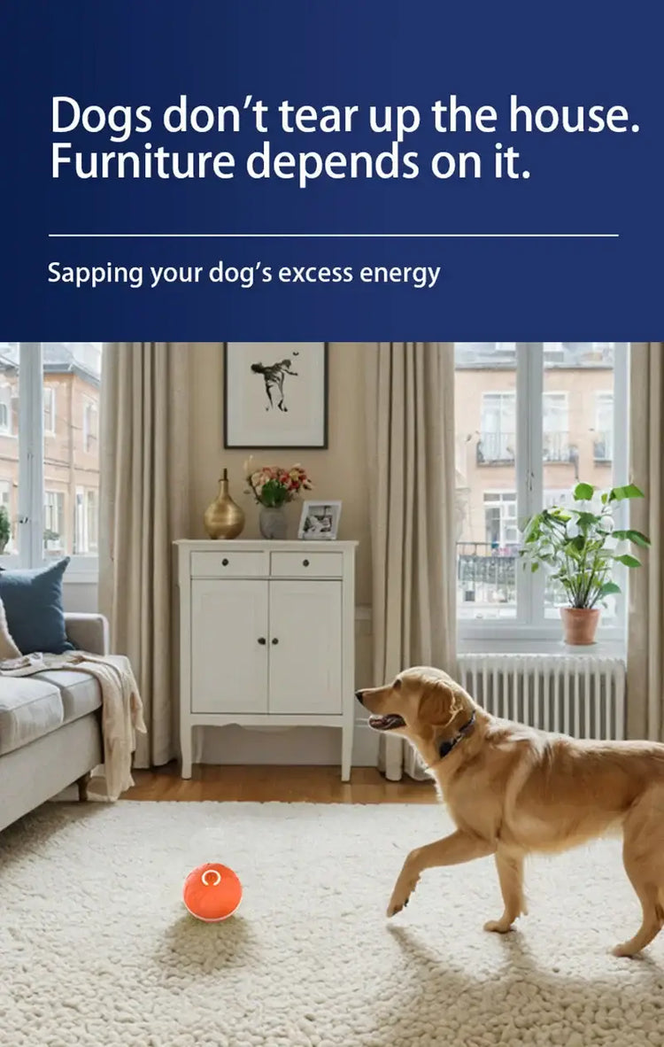 Balle intelligente à rebond automatique pour animaux