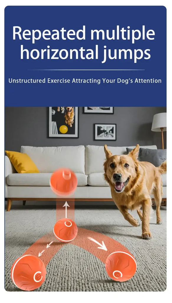 Balle intelligente à rebond automatique pour animaux