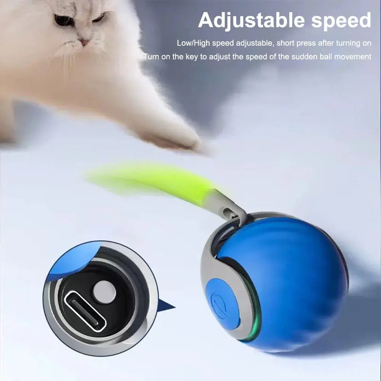 Balle jouet pour chien intelligent