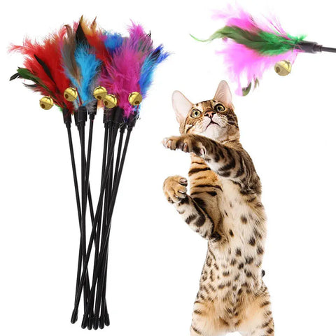 Bâtonnet interactif amusant pour chat - multicolore
