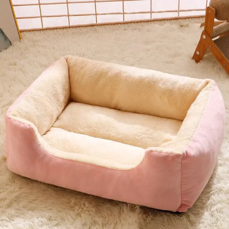 Bed for Cats Pet Products Cushions Kitten Goods Accessories Dog All Houses Supplies Things Accessory Habitats Basket