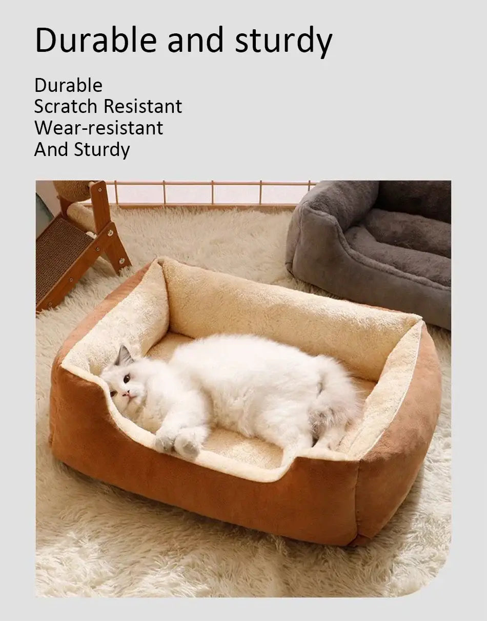 Bed for Cats Pet Products Cushions Kitten Goods Accessories Dog All Houses Supplies Things Accessory Habitats Basket