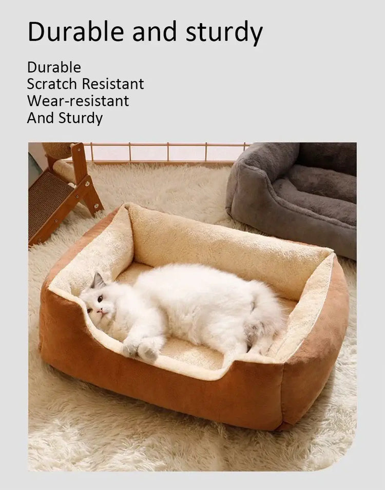 Bed for Cats Pet Products Cushions Kitten Goods Accessories Dog All Houses Supplies Things Accessory Habitats Basket