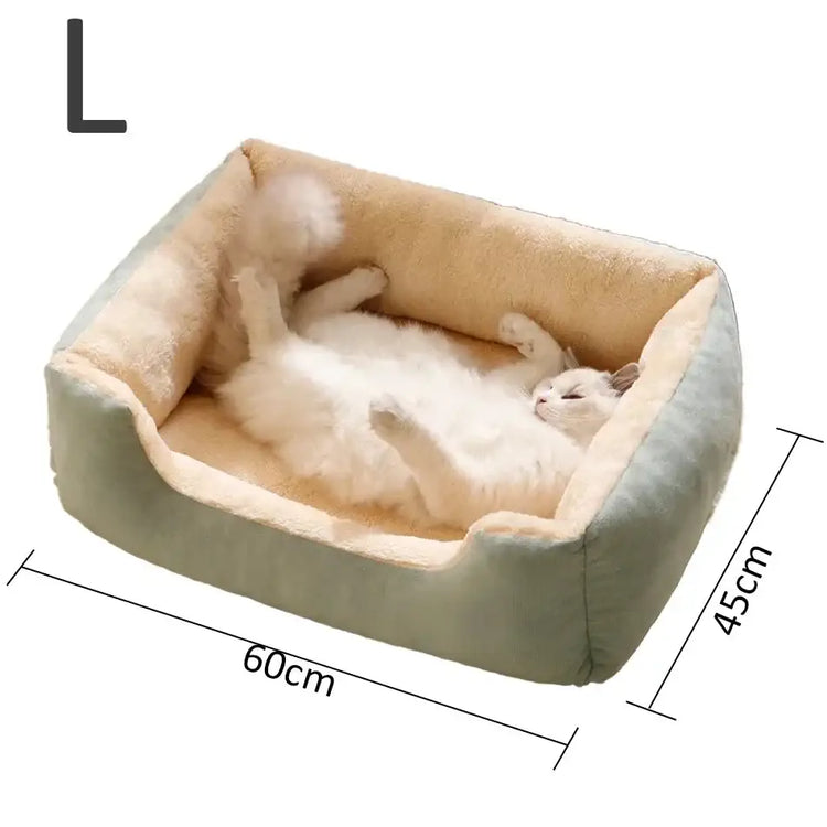 Bed for Cats Pet Products Cushions Kitten Goods Accessories Dog All Houses Supplies Things Accessory Habitats Basket