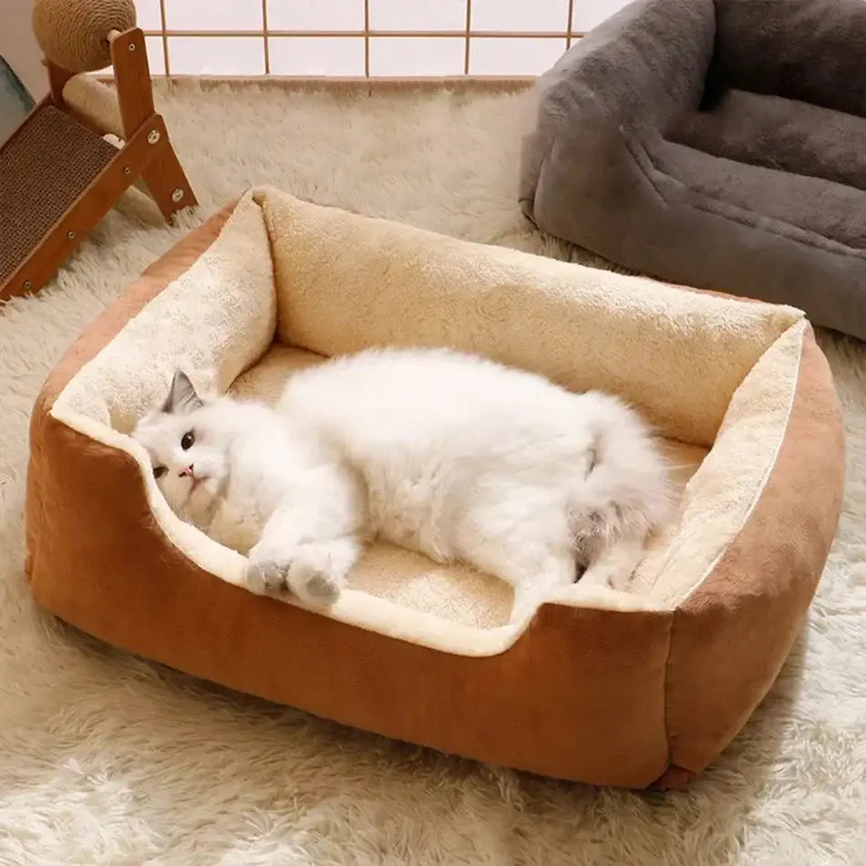 Bed for Cats Pet Products Cushions Kitten Goods Accessories Dog All Houses Supplies Things Accessory Habitats Basket