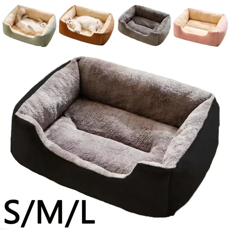 Bed for Cats Pet Products Cushions Kitten Goods Accessories Dog All Houses Supplies Things Accessory Habitats Basket