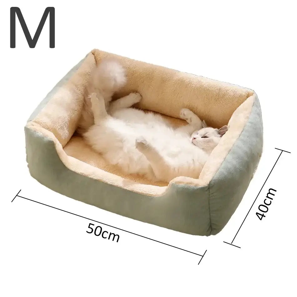 Bed for Cats Pet Products Cushions Kitten Goods Accessories Dog All Houses Supplies Things Accessory Habitats Basket
