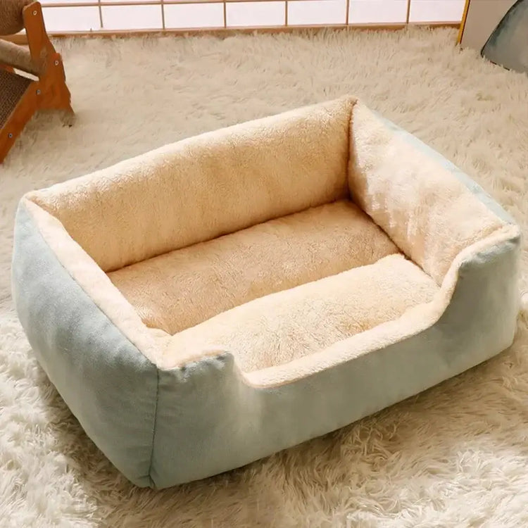 Bed for Cats Pet Products Cushions Kitten Goods Accessories Dog All Houses Supplies Things Accessory Habitats Basket