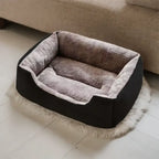 Bed for Cats Pet Products Cushions Kitten Goods Accessories Dog All Houses Supplies Things Accessory Habitats Basket