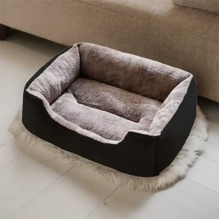Bed for Cats Pet Products Cushions Kitten Goods Accessories Dog All Houses Supplies Things Accessory Habitats Basket