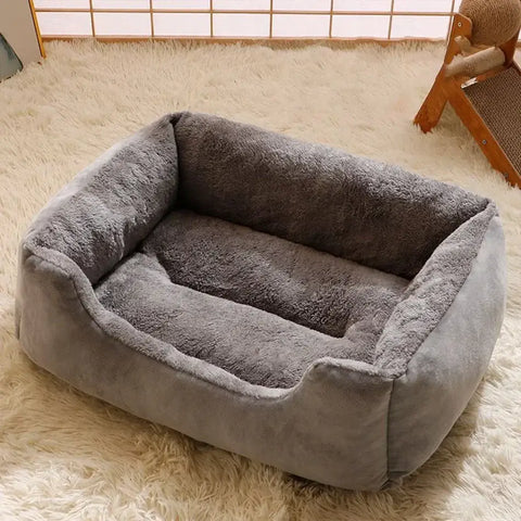 Bed for Cats Pet Products Cushions Kitten Goods Accessories Dog All Houses Supplies Things Accessory Habitats Basket