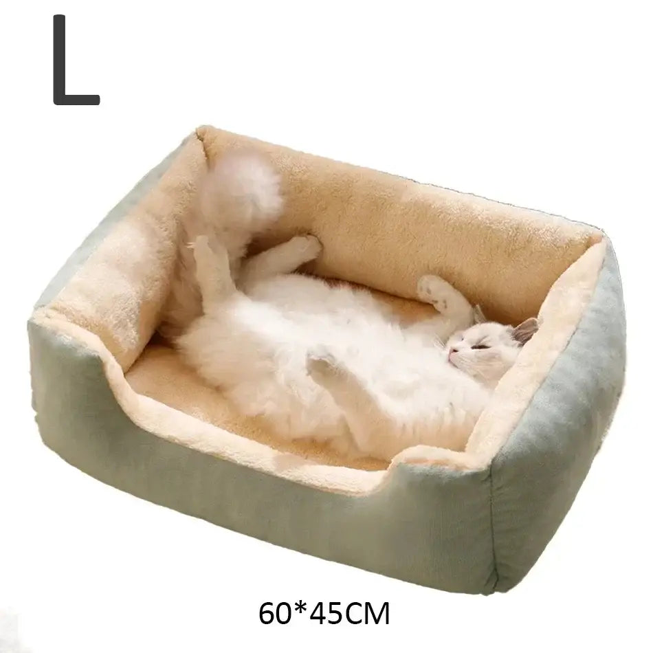 Bed for Cats Pet Products Cushions Kitten Goods Accessories Dog All Houses Supplies Things Accessory Habitats Basket