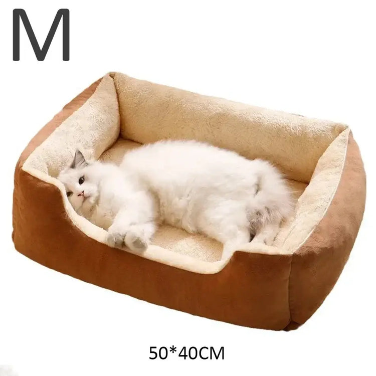 Bed for Cats Pet Products Cushions Kitten Goods Accessories Dog All Houses Supplies Things Accessory Habitats Basket