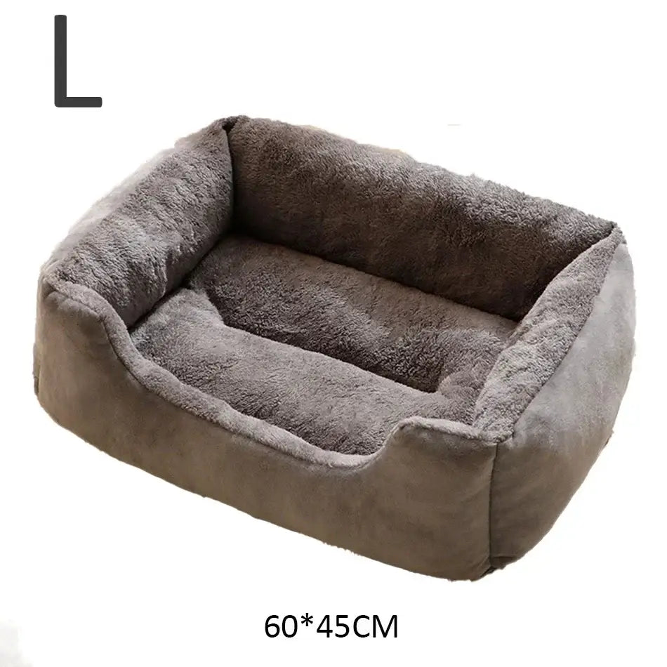 Bed for Cats Pet Products Cushions Kitten Goods Accessories Dog All Houses Supplies Things Accessory Habitats Basket
