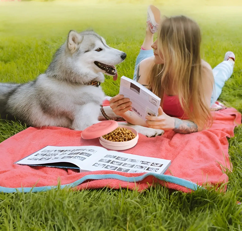 Portable Outdoor Pet Bowl: 2-in-1 Travel Dog Food/Water Dish with Treat Compartment for Hiking Camping and On-the-Go