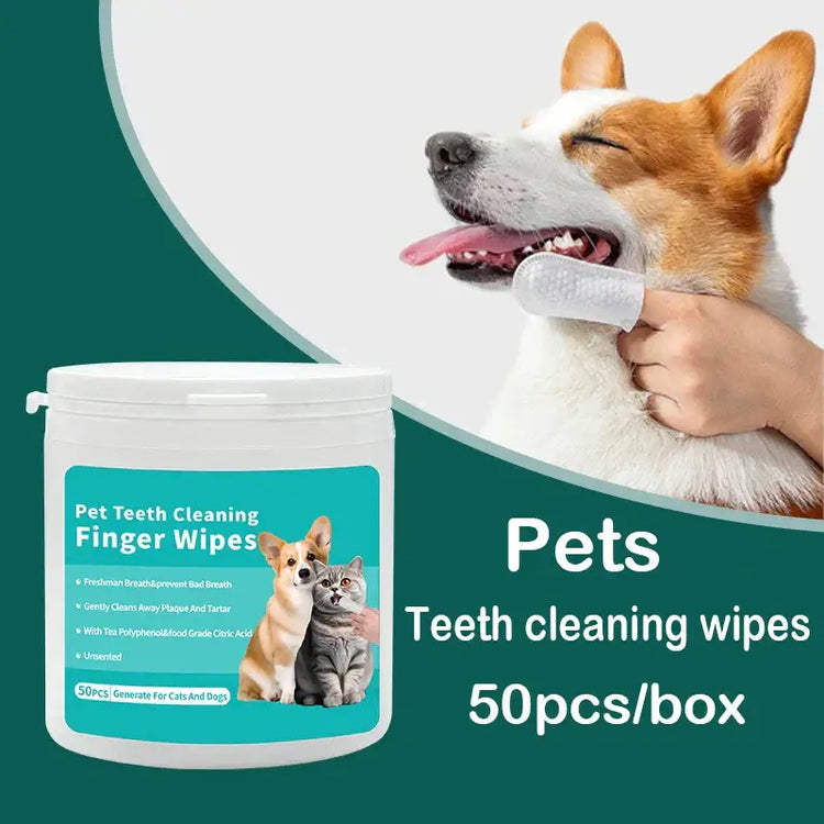 Brosse à dents chien doigt – Nettoyage dentaire PawFrance