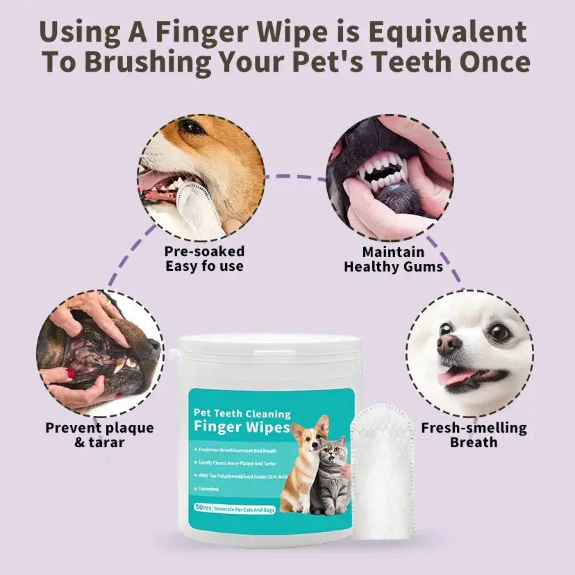 Brosse à dents chien doigt – Nettoyage dentaire PawFrance